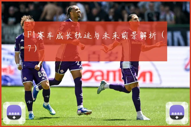 F1赛车成长轨迹与未来前景解析（7）