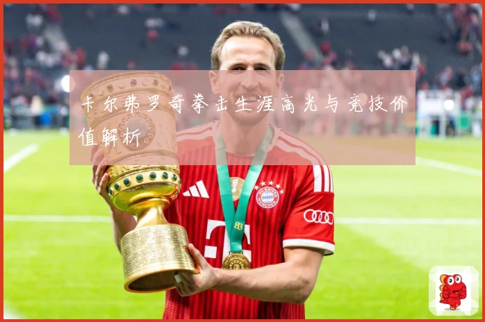 卡尔弗罗奇拳击生涯高光与竞技价值解析