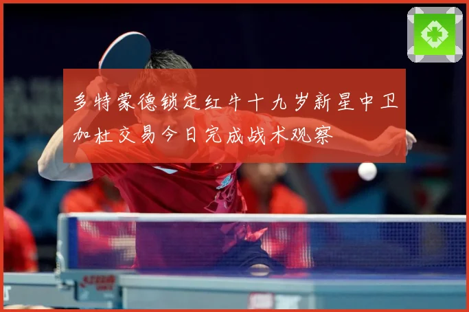多特蒙德锁定红牛十九岁新星中卫加杜交易今日完成战术观察