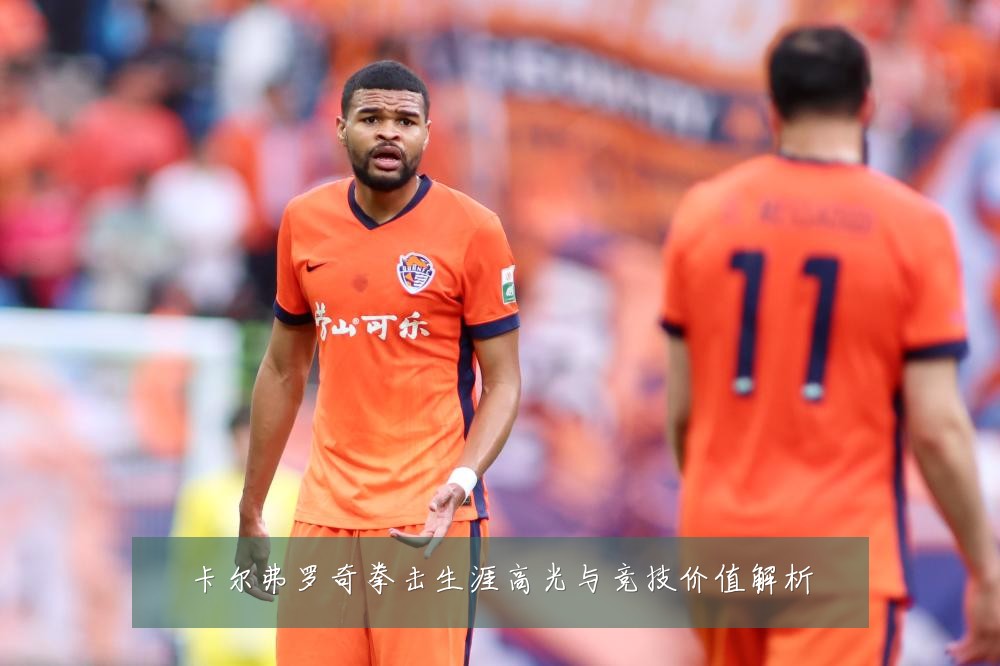 卡尔弗罗奇拳击生涯高光与竞技价值解析