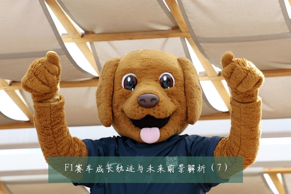 F1赛车成长轨迹与未来前景解析（7）