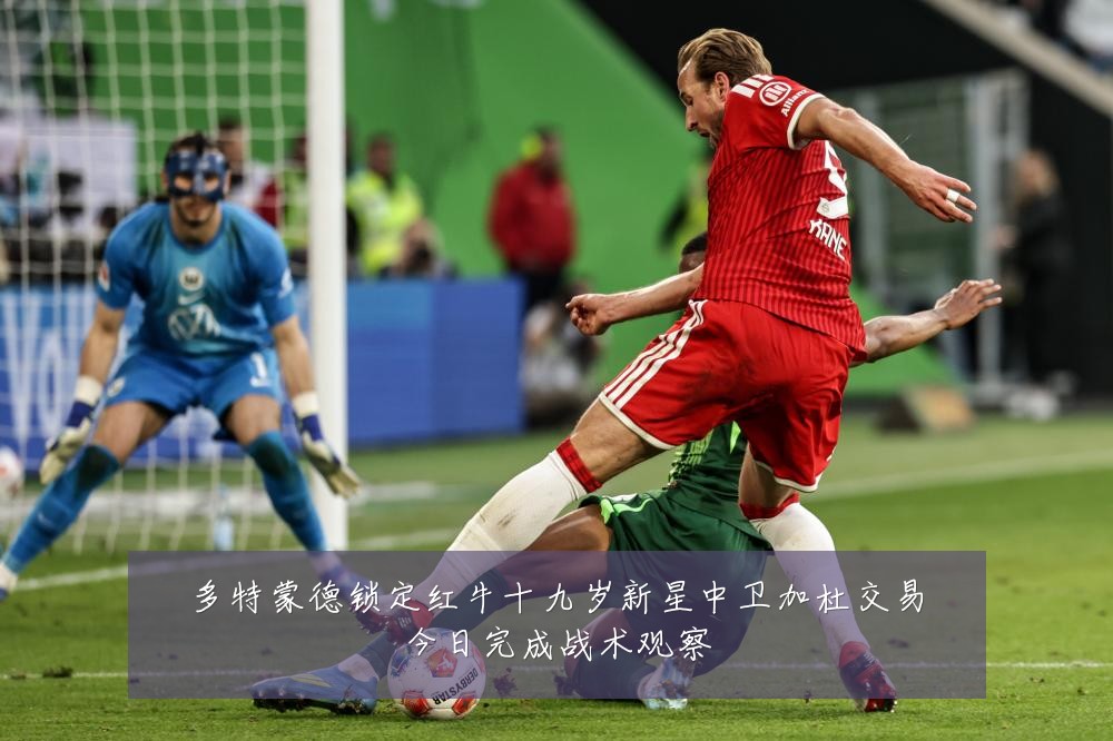 多特蒙德锁定红牛十九岁新星中卫加杜交易今日完成战术观察