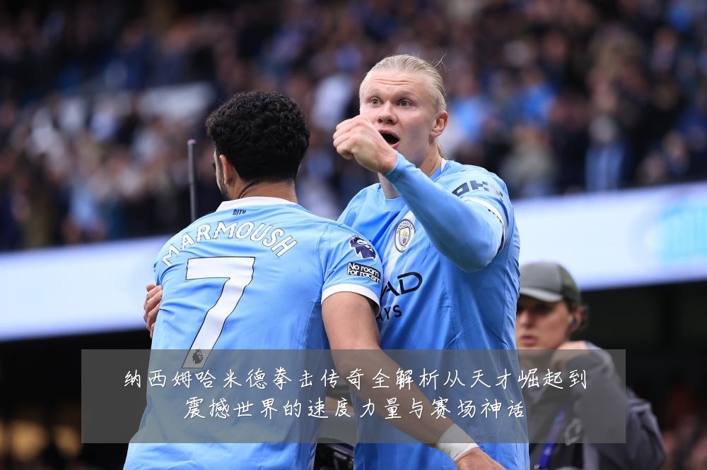 纳西姆哈米德拳击传奇全解析从天才崛起到震撼世界的速度力量与赛场神话